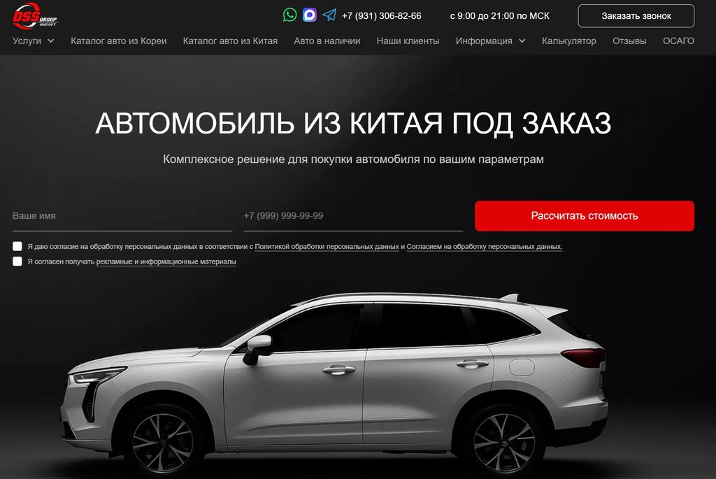 DSS Group Китай