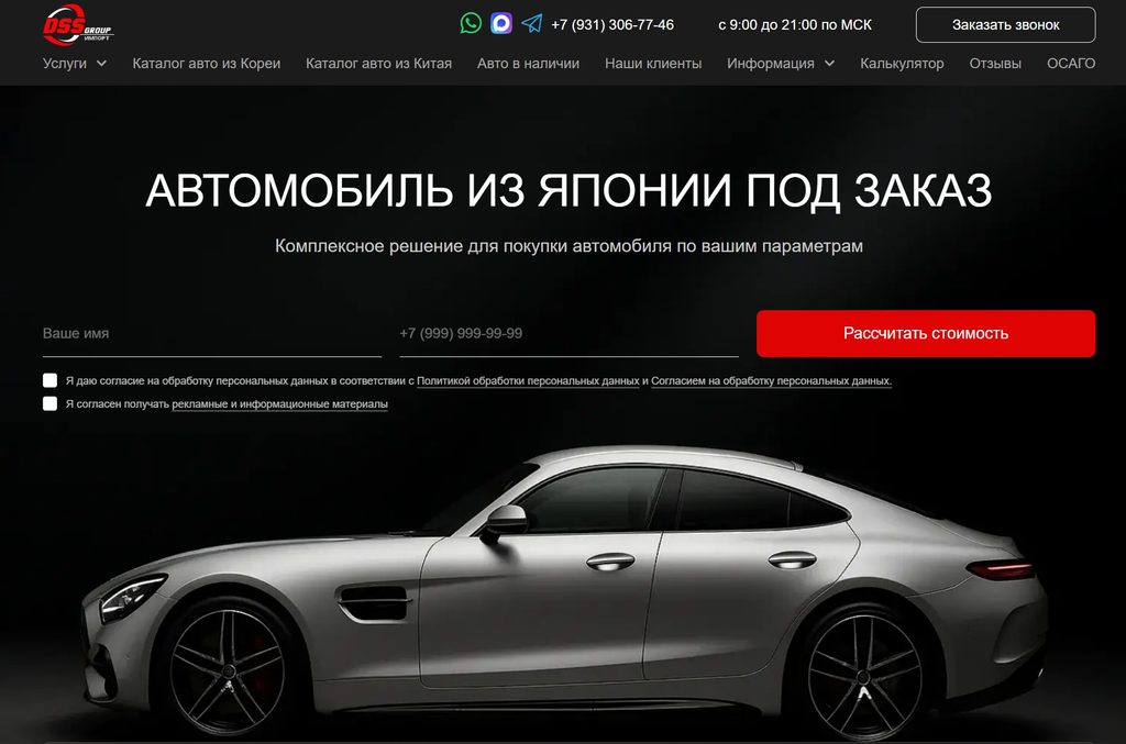 DSS Group из Японии